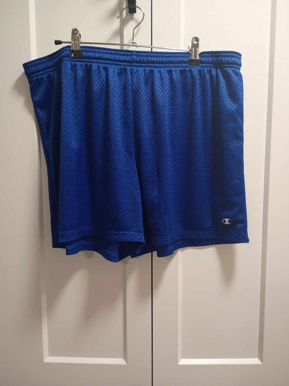 Champion Royal Blue Athletic Mesh Shorts